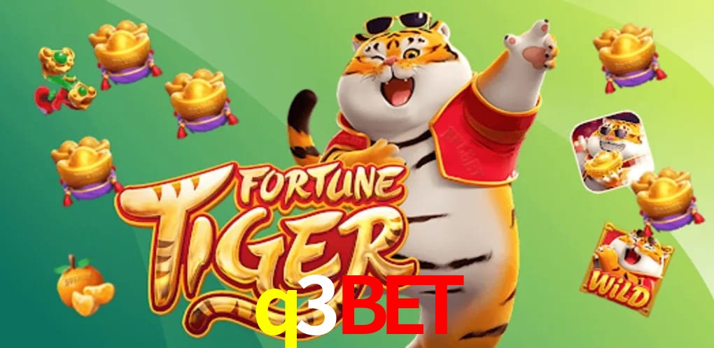 Experiência VIP q3bet